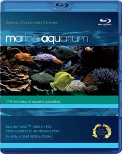 Blu-ray /   / Marine Aquarium