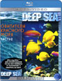 Blu-ray /    / Deep Sea