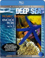 Blu-ray /  :   / Deep Sea: Relax