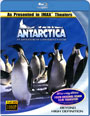 Blu-ray / :     / IMAX: Antarctica - An Adventure of a Different Nature